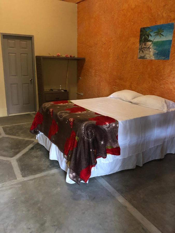Hotel Casa Vieja 라 세이바 외부 사진